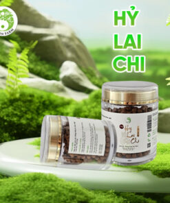 Viên uống Hỷ Lai Chi (Shilajit Tây Tạng)- Hỗ trợ Sức Khoẻ - Não Bộ